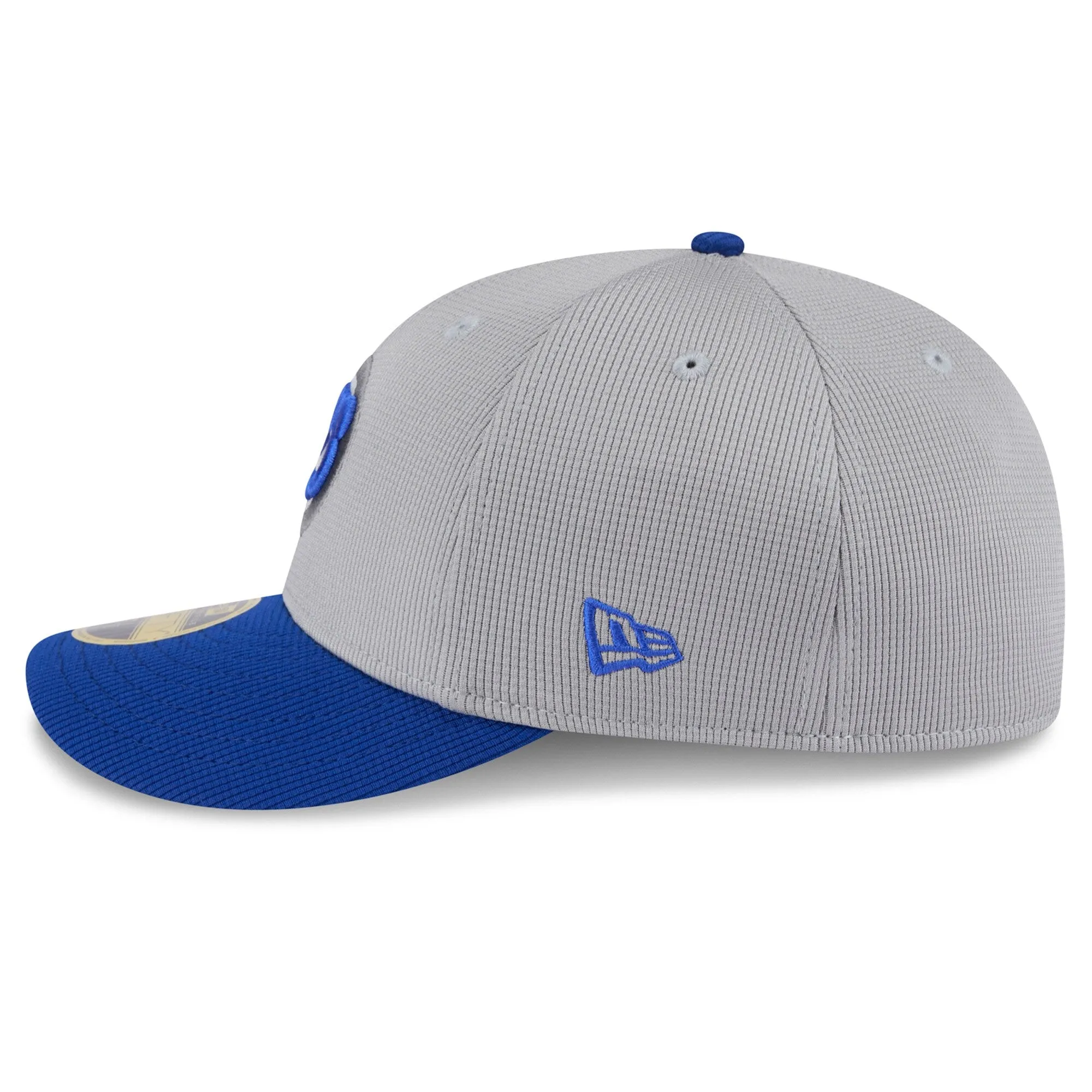 Chicago Cubs New Era 2025 MLB Batting Practice Graphite/Royal Low Profile 59FIFTY Fitted Hat