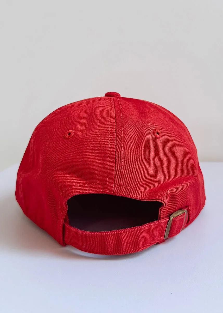 Chicago. Dad Hat - Astros Brick