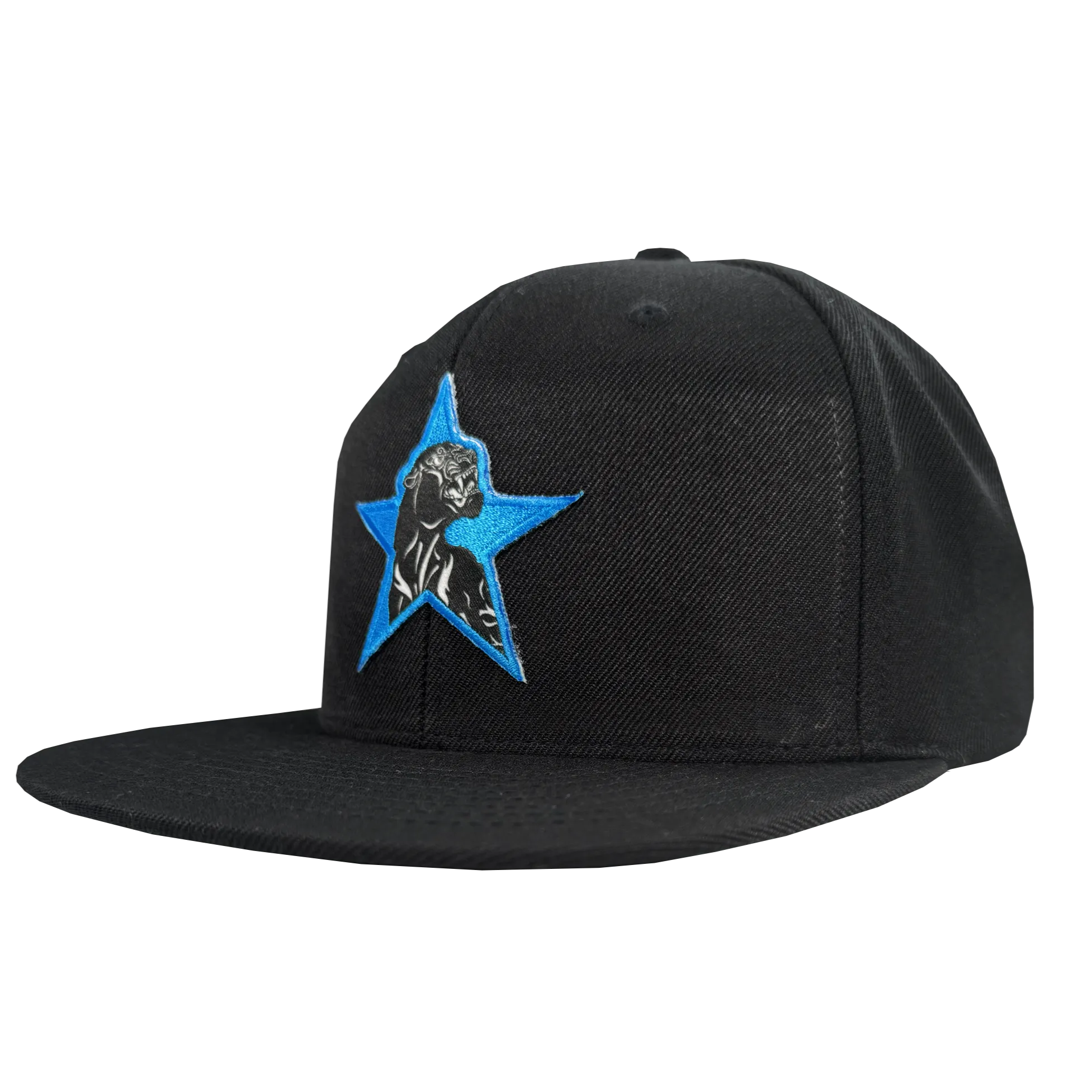 Power of the People Snapback