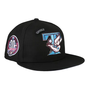 Toronto Blue Jays Stargazer Collection 30th Season Fitted Hat